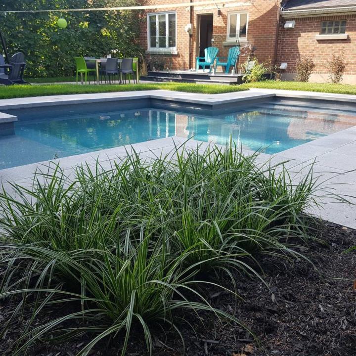 Inground pool construction Laval